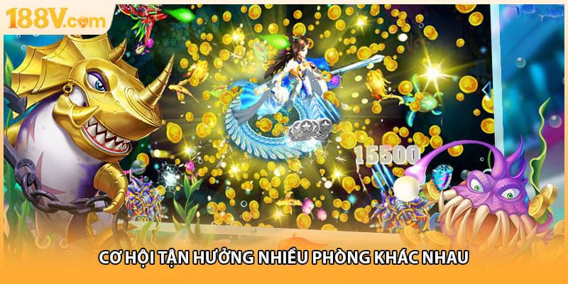 Cơ hội tận hưởng nhiều phòng khác nhau